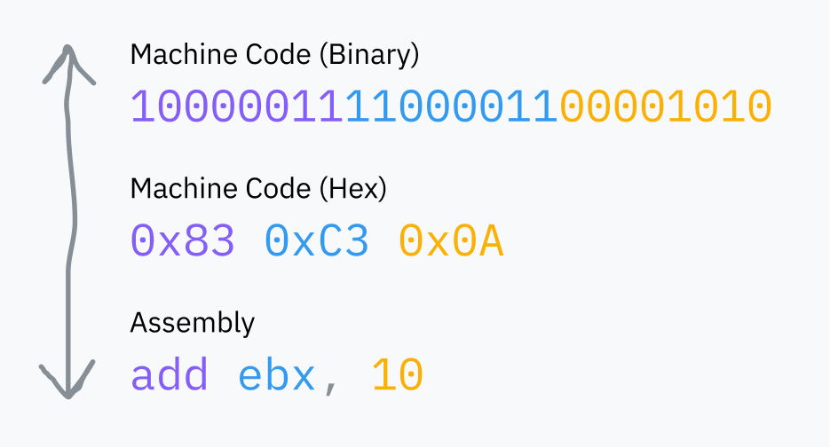 機械語がアセンブリに翻訳され、逆に戻る方法を示す図。双方向の矢印が3つの例を接続しています：機械語（バイナリ）とその後の3つのバイナリ数値のバイト、機械語（16進数）とそれらの3つのバイトが16進数に翻訳されたもの（0x83、0xC3、0x0A）、そしてアセンブリと "add ebx, 10"。アセンブリと機械語は色分けされているため、機械語の各バイトがアセンブリの1ワードに対応していることがわかります。