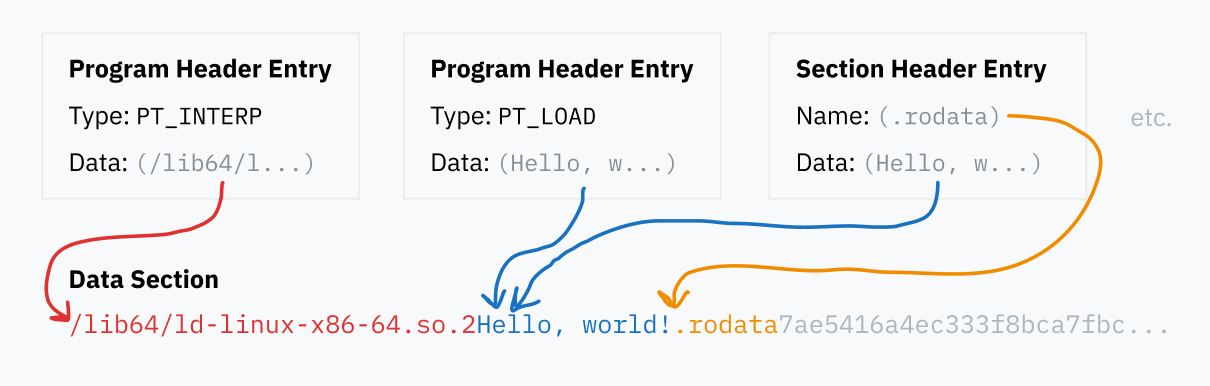 ELFファイルの異なる部分がデータブロック内の位置を参照する様子を示すダイアグラム。データの連続コレクションが、末尾でフェードアウトし、ELFインタープリタのパス、セクションタイトル ".rodata"、および文字列 "Hello, world!" など、明確に認識できる要素が含まれています。データブロック上にはいくつかの例のELFセクションが浮かび上がり、それらのデータを指す矢印があります。たとえば、PHTおよびSHTエントリの例からのデータセクションは、同じ "Hello, world!" テキストを指しています。SHTエントリのラベルもデータブロックに格納されています。