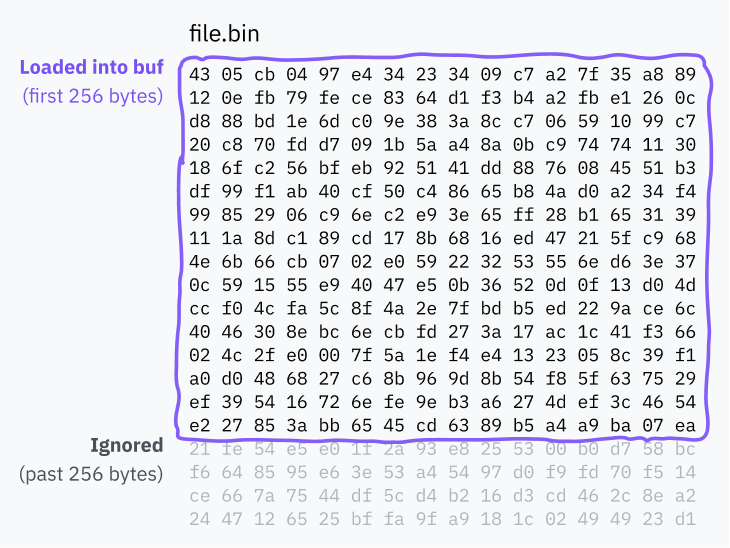 シバン行の切り詰めを示す図。ファイル名がfile.binのファイルからの大きなバイト配列があります。最初の256バイトが強調表示され、「bufに読み込まれた」とラベルが付けられています。残りのバイトは透明で、「256バイトを超えたところ」とラベルが付けられています。